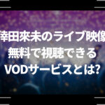 倖田來未のライブ映像を無料で視聴できるVODサービスとは？